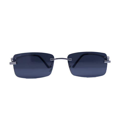 Men's Sunglass(P)