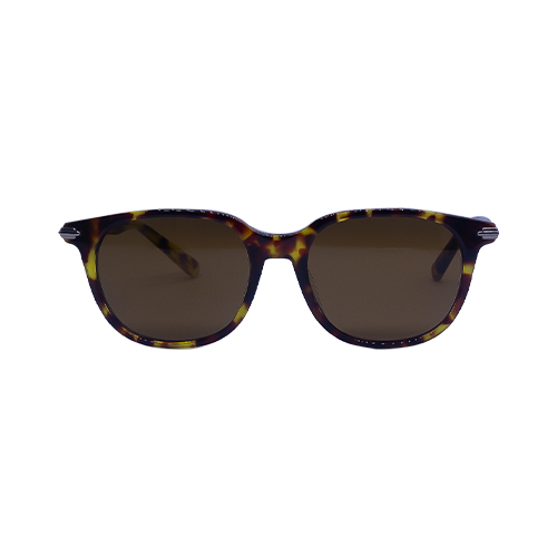 Men's Sunglass