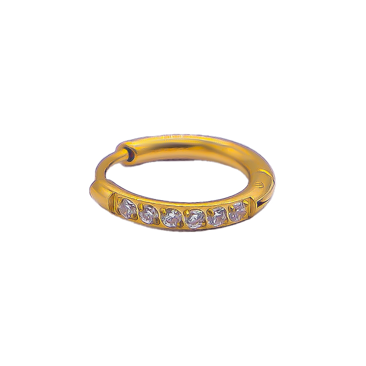 Women's Piercings(Large Size)