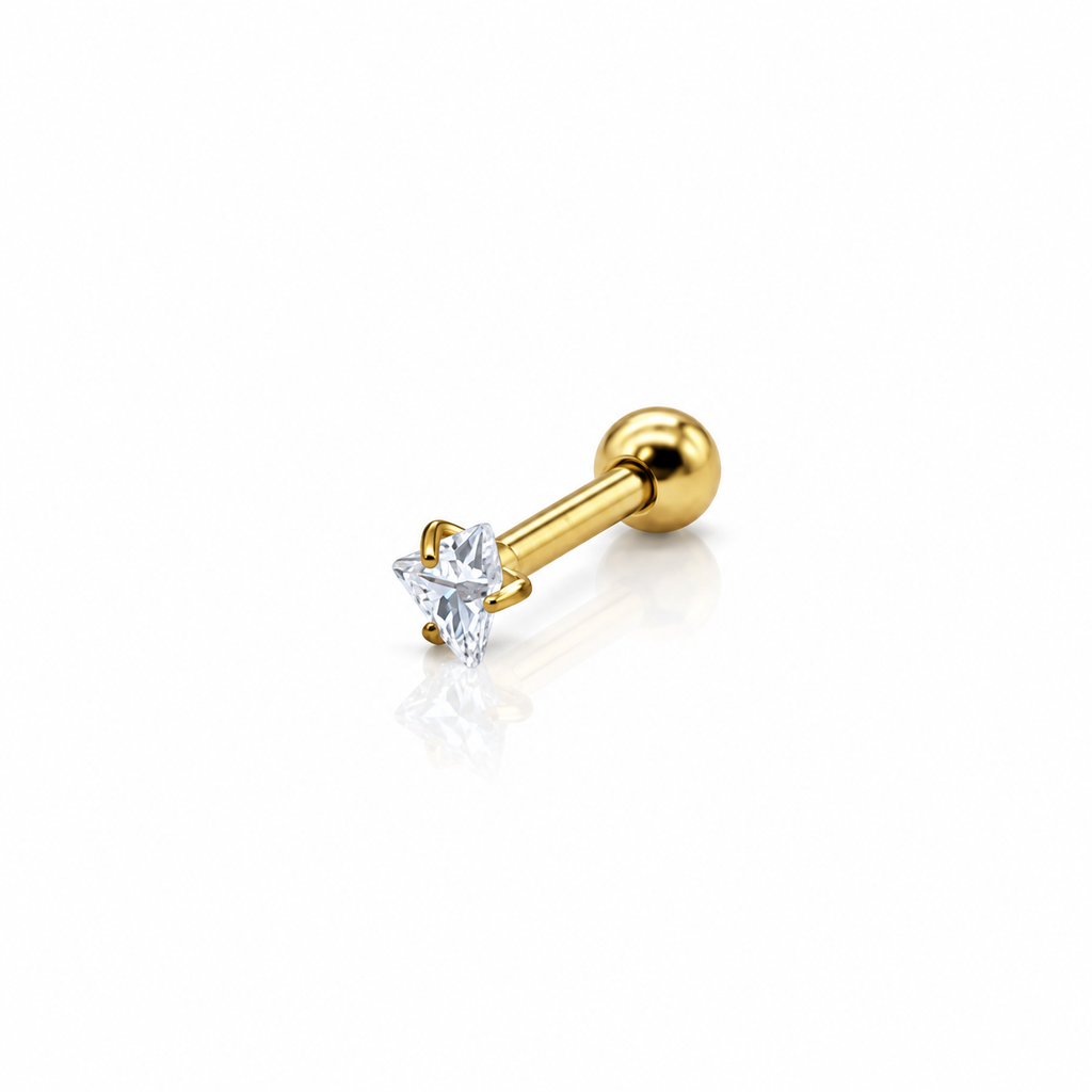Women’s Ear Piercing