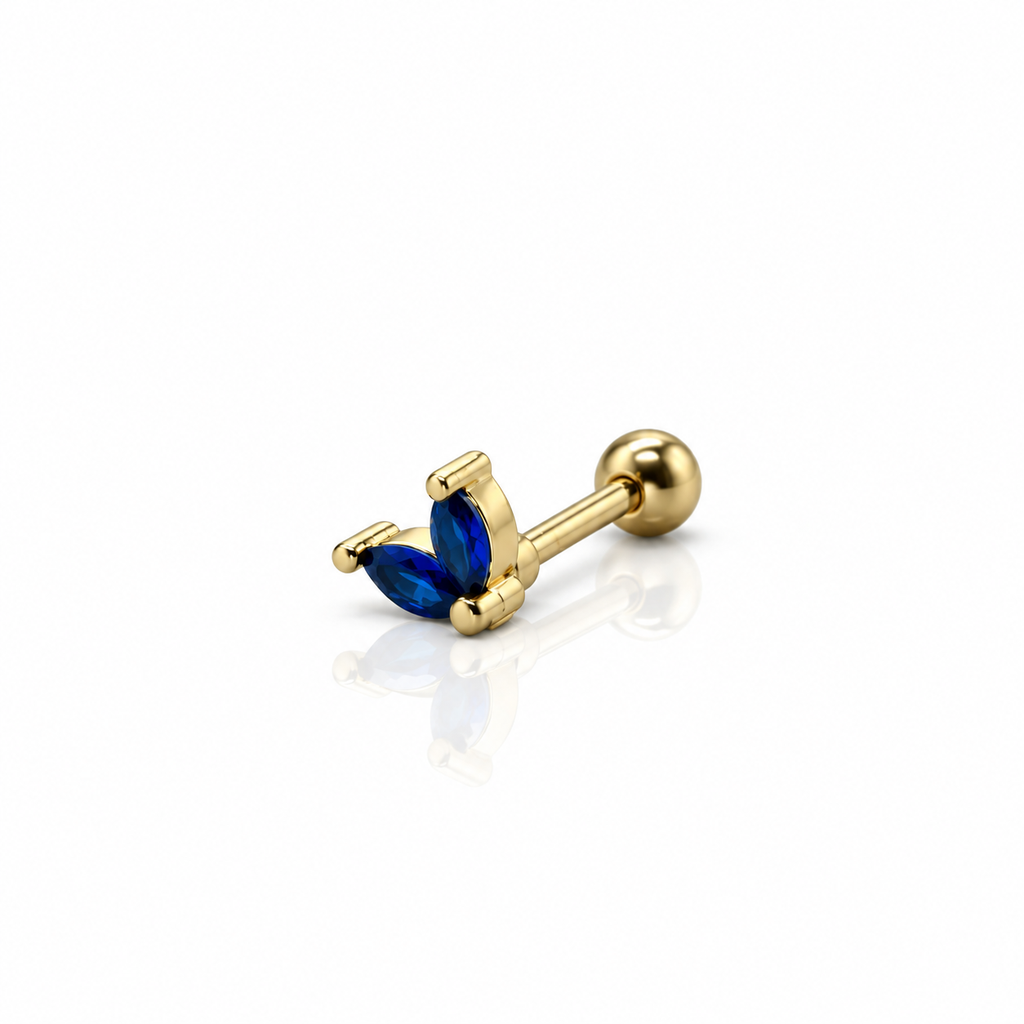 Women’s Ear Piercing