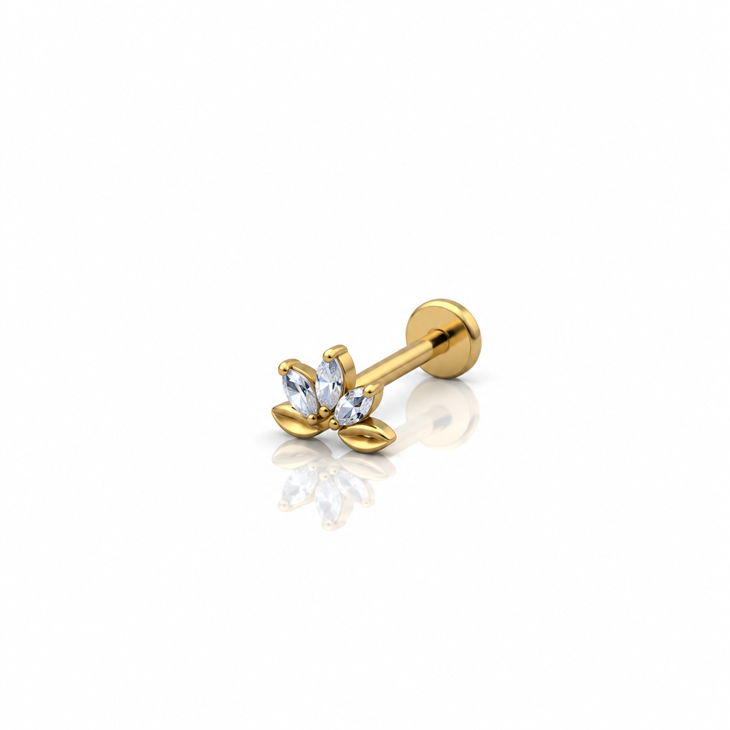 Women’s Ear Piercing