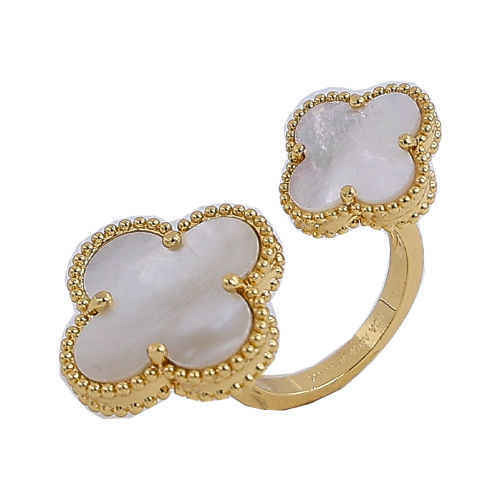 [01-11-2024-46.jpg] Women's Rings (Free Size)