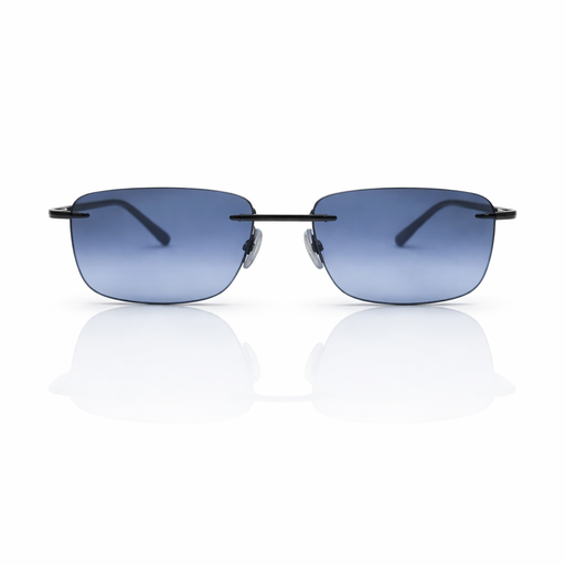 [2025-04-02-29.jpg] Men's Sunglass (P)