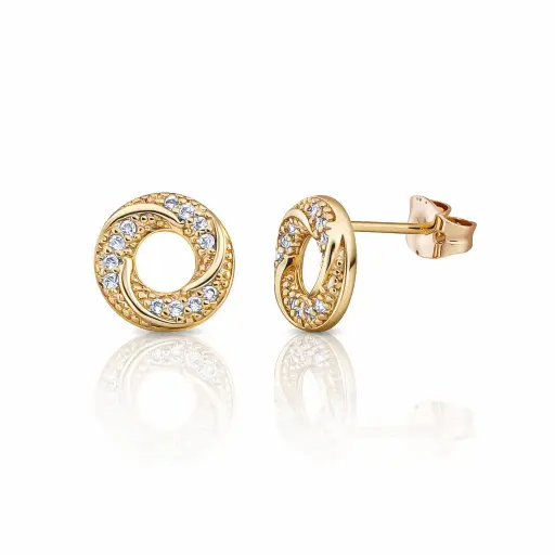 [2026-01-09-68.jpg] Women Stud Earring