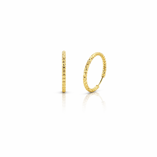 [2026-04-17-288.png] Women’s Earring
