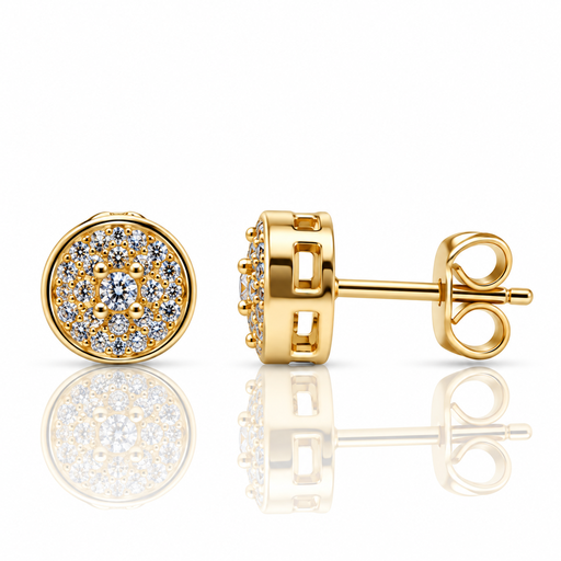 [2026-09-15-118.png] Women Stud Earring